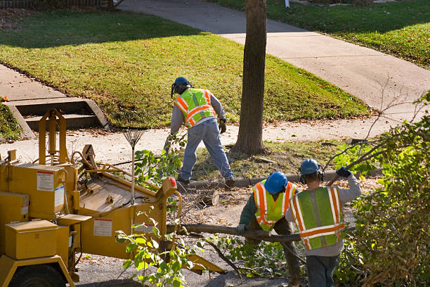 Trusted Northford, CT Tree Removal and Landscaping Services Experts